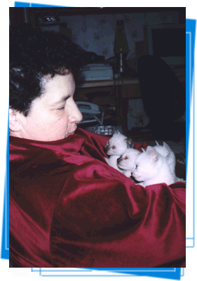 annkittns1.gif (43099 bytes)